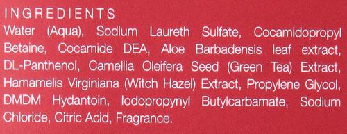 Clean Coating Shampoo for Dogs, 16.9-fl oz bottle