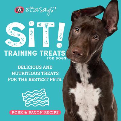 Sit! Training Treats Bacon Recipe Dog Treats, 1-lb bag