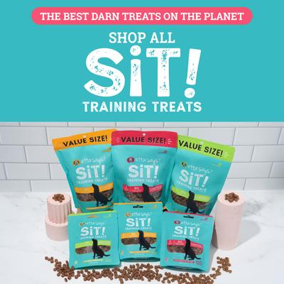 Sit! Training Treats Bacon Recipe Dog Treats, 1-lb bag