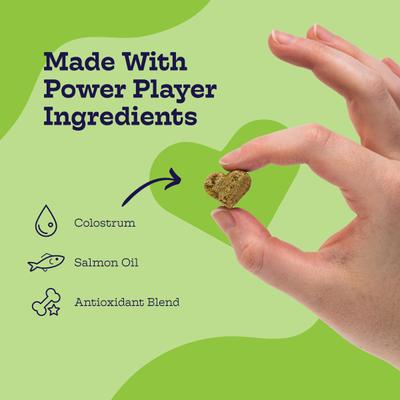 Chicken Flavor Immunity Bites Chews for Dogs, 90 count