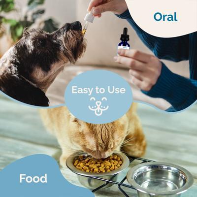 Suplemento líquido para la salud renal de gatos y perros, botella de 2 onzas líquidas