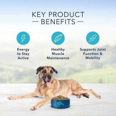 Bundle: NaturVet Senior Wellness Soft Chews Joint Supplement for Dogs + Blue Buffalo Life Protection Formula Senior Chicken & Brown Rice Recipe Dry Food