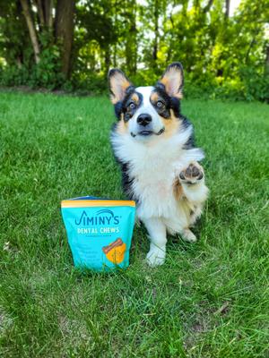 Dog Dental Chew Treat, Medium, 12 count