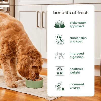 Alimento fresco para perros Complete Nutrition Chicken Recipe, rollo de 1.5 lb, caja de 8