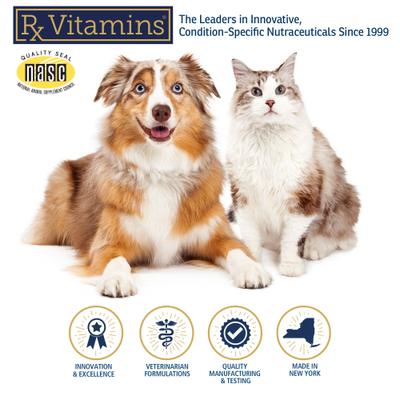 Rx Clay Powder Digestive Supplement for Dogs, 100-g