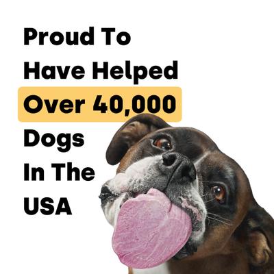 Itch & Allergy Turkey & Salmon Flavored Chews Allergy Supplement for Dogs, 90 count