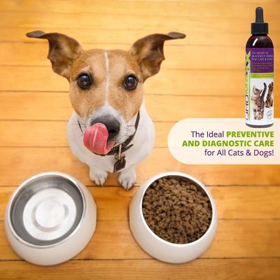 UroMAXX Urinary, Kidney & Bladder Dog & Cat Supplement, 6-fl oz bottle