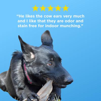 Natural Cow Ear Dog Chews, 12 count