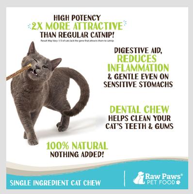 Silvervine Sticks Cat Chew Toy, 30 count