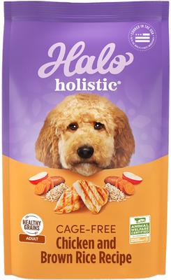 Holistic Complete Digestive Health Chicken & Brown Rice Dog Food Recipe Adult Dry Dog Food, 10-lb bag