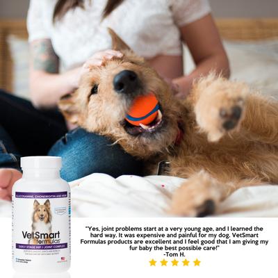 Early Stage Chewable Tablet Joint Supplement for Dogs, 60 count