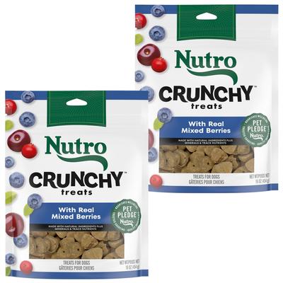 Crunchy with Real Mixed Berries Dog Treats, 10-oz bag