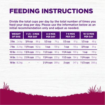 Small Breed Complete Health Puppy Turkey, Oatmeal & Salmon Meal Recipe Dry Dog Food, 4-lb bag