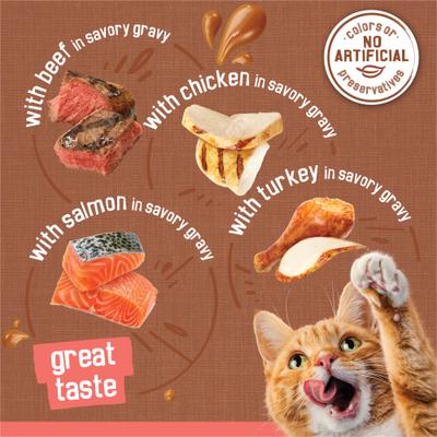Extra Gravy Chunky Variety Pack Canned Cat Food, 5.5-oz, case of 24