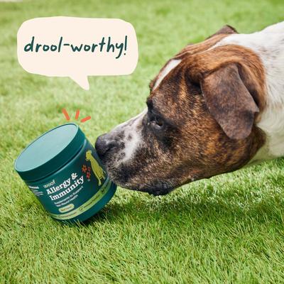 Allergy & Immunity Beef Flavored Chew Supplement for Dogs, 90 count