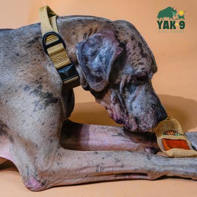 Golosinas masticables para perros Yak Milk, 3 unidades, tamaño mediano