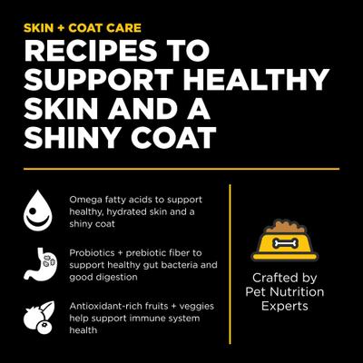 Skin + Coat Care Duck Recipe Dry Dog Food, 22-lb bag
