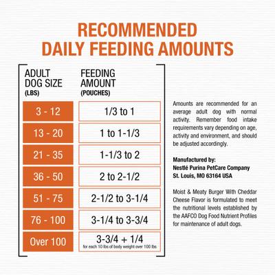 Burger with Cheddar Cheese Flavor Dry Dog Food, 6-oz pouch, case of 36