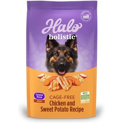 Alimento seco para perros adultos Holistic Complete Digestive Health, sin cereales, con pollo y batata, bolsa de 1,6 kg