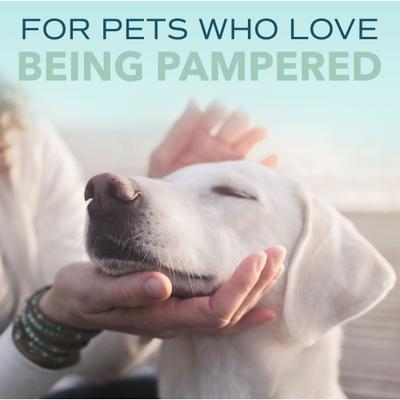 Colonia en aerosol para perros Spa Fresh, aroma lujoso a avena y pepino, botella de 237 ml