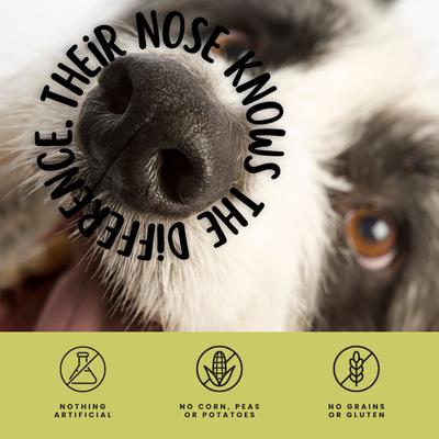 All Natural Turkey Flavored Tendons Dog Chews, 8-oz bag