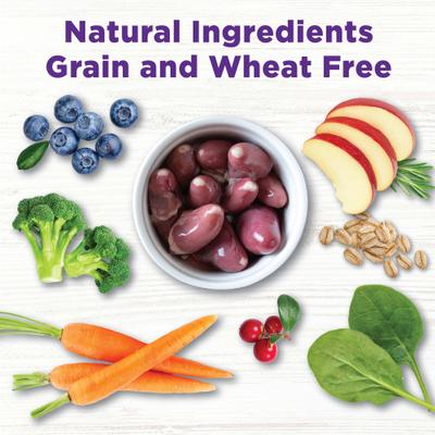 Paquete: Alimento seco Wellness Complete Health para adultos con receta de pescado blanco y batata + Complemento para alimento seco para perros CORE Bowl Boosters Heart Health