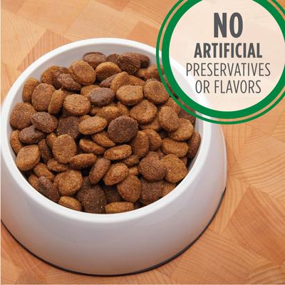 Paquete: Iams MiniChunks Small Kibble + Alimento seco para perros de razas grandes con pollo real