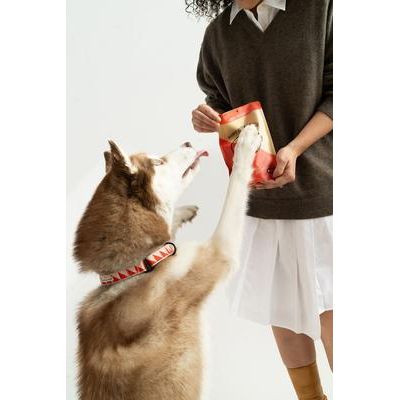 Peanut Butter Pretzels Crunchy Dog Treats, 4-oz bag