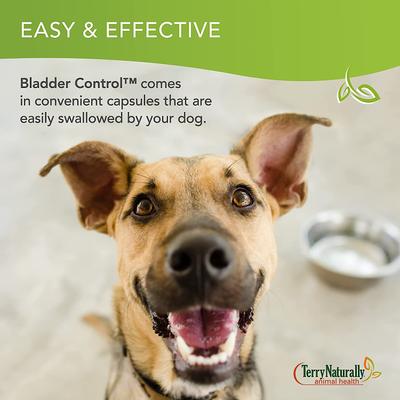 Bladder Control Dog Supplement, 30 count