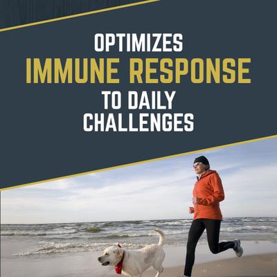 Suplemento masticable suave con sabor a pavo Daily Defense para la salud intestinal de perros, frasco de 283 g