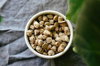 Nuggets de cerdo crudo liofilizados para gatos, bolsa de 9 oz