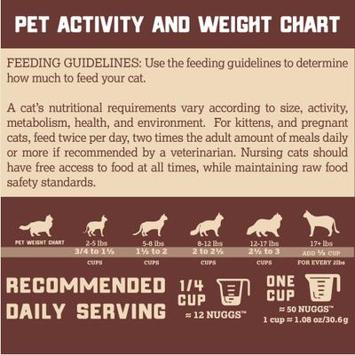 Freeze-Dried Raw Pork Nuggs Dry Cat Food, 9-oz bag