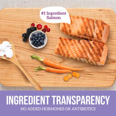 Grain-Free Northern Catch Salmon Wet Dog Food, 12.5-oz can, case of 12