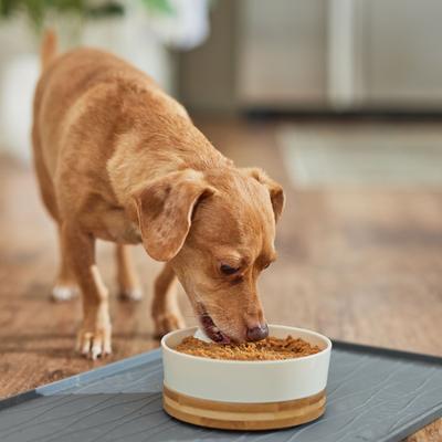 Low Fat Vegetarian Dinner Canned Dog & Cat Food, 12.8-oz, case of 12