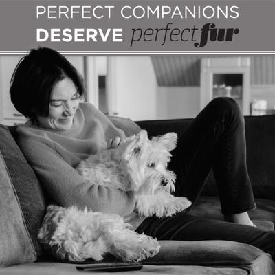 PerfectFur Tangle Remover Detangling & De-matting Dog Spray, 8-fl oz bottle