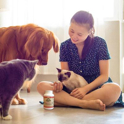 Skin & Coat Dog & Cat Supplement, 60 count