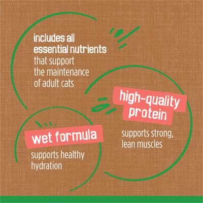 Indoor Chunky Chicken & Turkey Casserole Canned Cat Food, 5.5-oz, case of 24