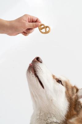 Greens & Cheddar Pretzels Crunchy Dog Treats, 4-oz bag