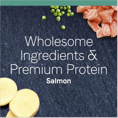 Bundle: CANIDAE PURE Limited Ingredient Chicken Recipe + Salmon Recipe Dry Cat Food