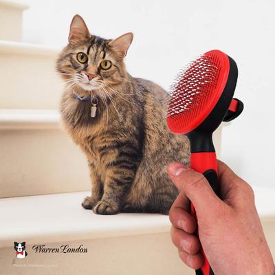 Cat Pin Brush
