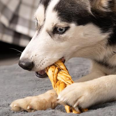 Palitos trenzados Beefhide de 7 pulgadas, paquete variado, masticables duros para perros con sabor a carne de res y pollo, 6 unidades