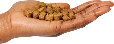 Grain Friendly Cage Free Chicken Meal & Oats Formula Dog Food, 25-lb bag