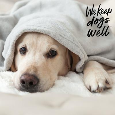 Remedy+Recovery Pet Wormer for Dogs & Cats, 8-fl oz bottle