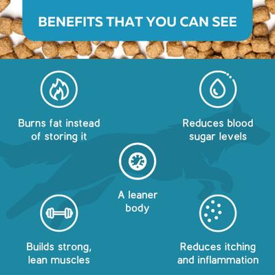 Ketona Single Ingredient Chicken Liver Flavor Freeze-Dried Dog Treats, 2-oz bag