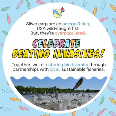 Birthday Celebration Adult Fish & Pumpkin Grain-Free Soft Jerky Dog Treats, 5-oz bag