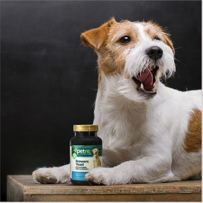 Brewers Yeast Dog Supplement, 250 count