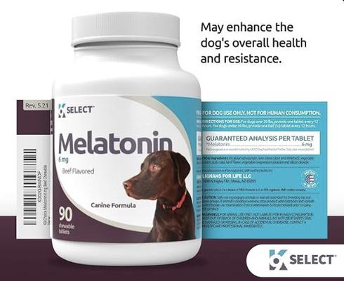 Melatonin Beef Flavor Calming Dog Supplement, 6-mg, 90 count