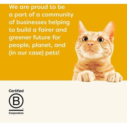 Chicken Broth Variety Pack Wet Cat Food, 2.47-oz, case of 24