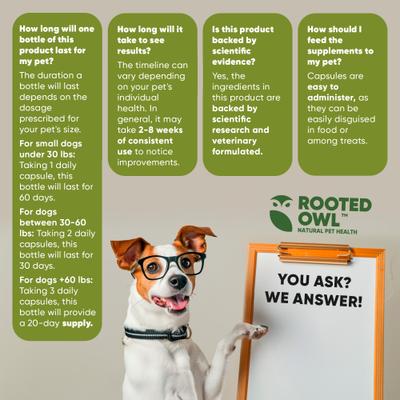 Natural Cardio Support Capsules Supplement with L-Taurine & L-Carnitine for Dogs, 60 count