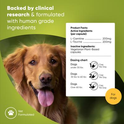 Cápsulas de apoyo cardiovascular natural con L-taurina y L-carnitina para perros, 60 unidades